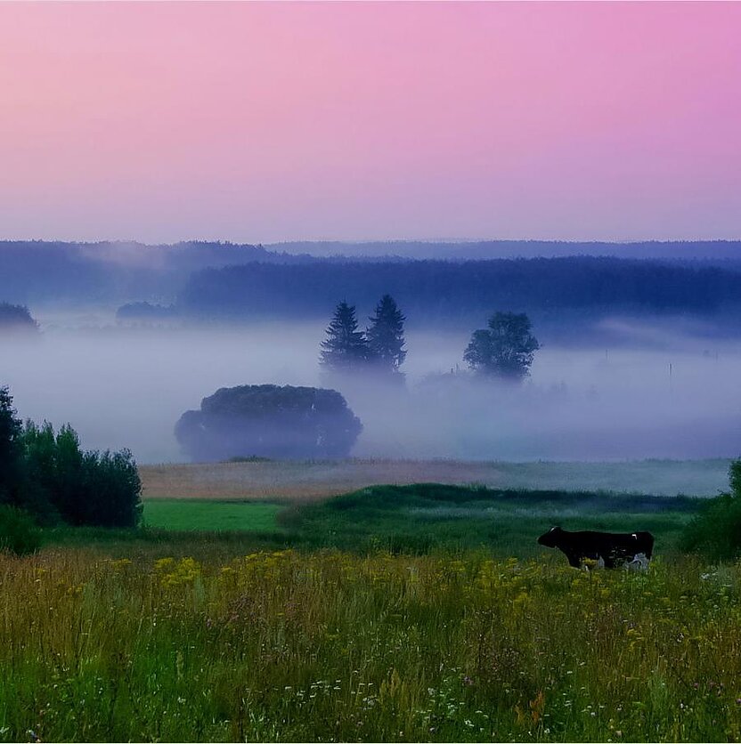 Mindaugo Lapelės, Gamtos vaizdas.