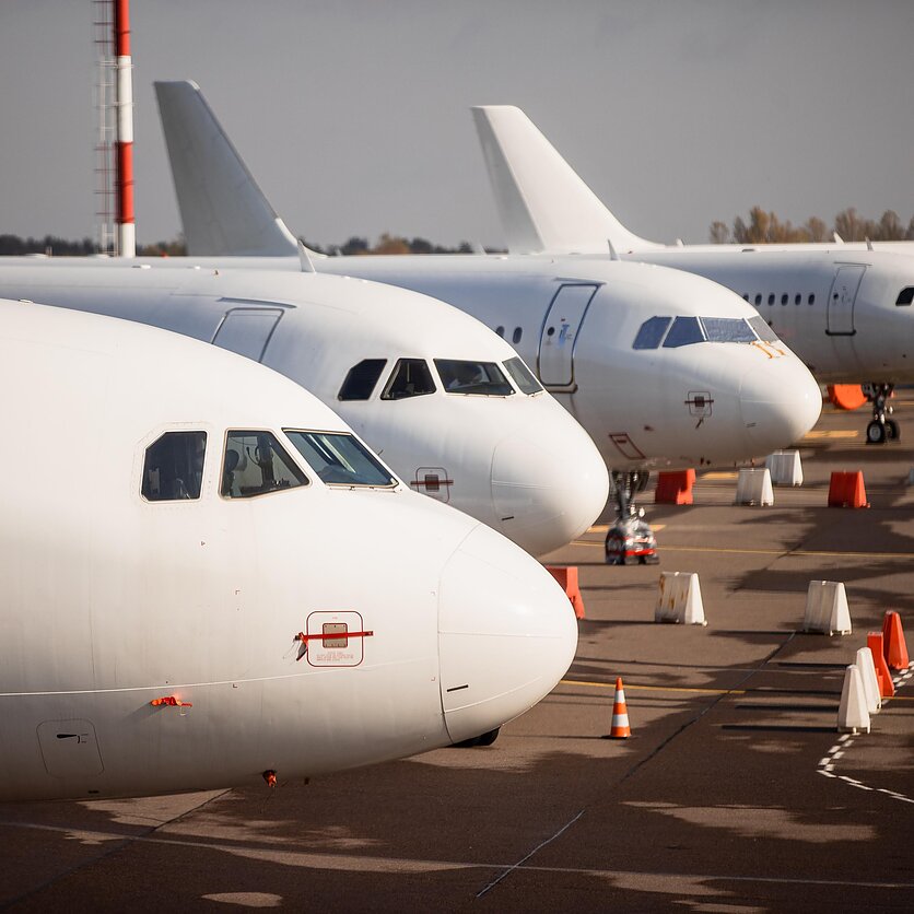 J. Stacevičiaus / LRT nuotr., Tuzinas. Aviacijos ekspertė: „Aviacijos teisė neretai rašoma krauju“