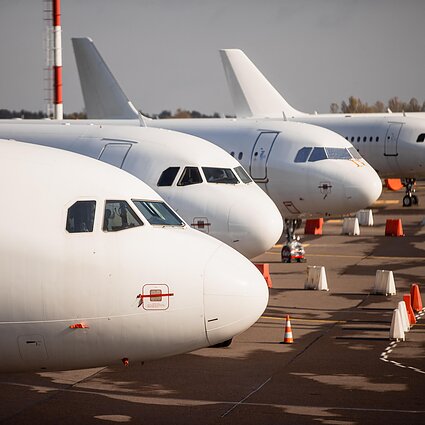 Tuzinas. Aviacijos ekspertė: „Aviacijos teisė neretai rašoma krauju“