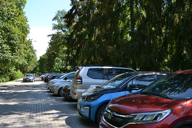 Palanga, vasara, poilsiautojai