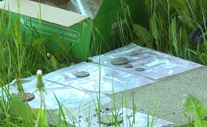 Archeologiniai radiniai Biržuose: XVII a. fragmentai, pasakojantys apie biržiečių gyvenimą prieš 400 metų