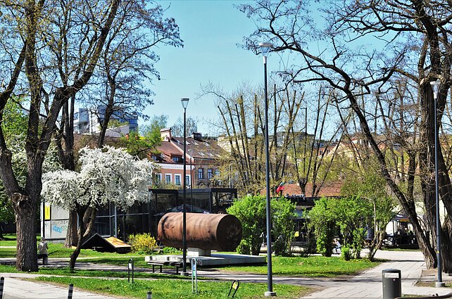 Slyvaičių žydėjimas šalia Pylimo g. Ant Pavilijono stogo Evaldas Jansas augino bites Slyvaičių žydėjimas šalia Pylimo g. Ant Pavilijono stogo Evaldas Jansas augino bites