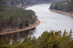 Nemunas