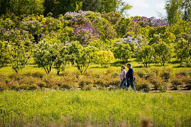 Vilnius University Botanical Garden