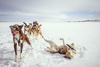 Gintarės Turskytės gyvenimo akimirka Gintarės Turskytės gyvenimo akimirka