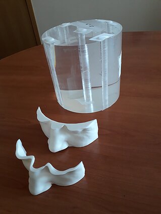 3D spausdinimas medicinoje 3D spausdinimas medicinoje