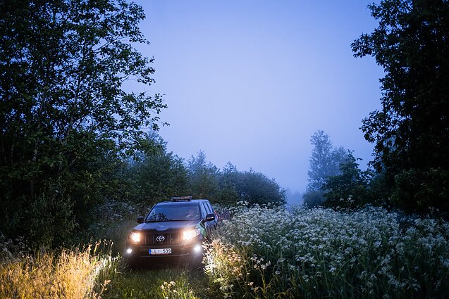 Morning dew helps trace people's footsteps