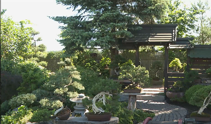 Alytuje kuriamas japoniškas sodas: lankytojus džiugins ir arbatų ceremonijos