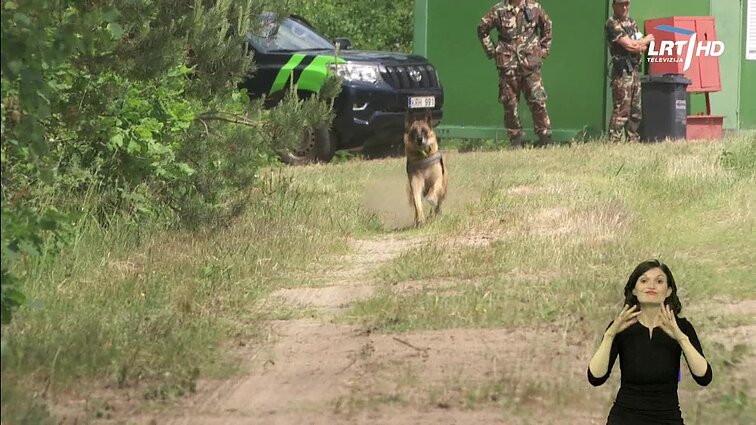Žinios. Sportas. Orai (su vertimu į gestų k.)