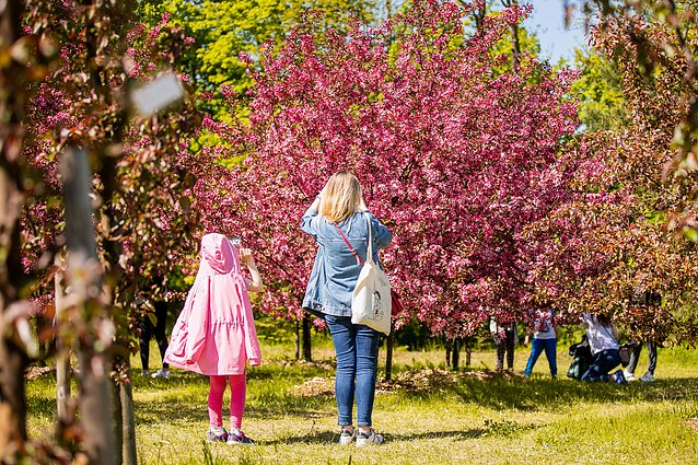 Vilniaus universiteto botanikos sodas Kairėnuose