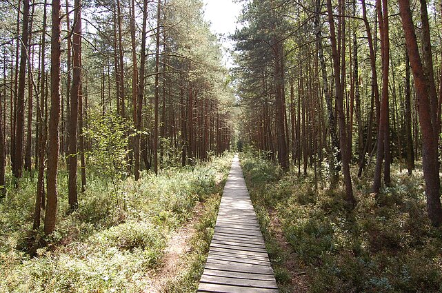 Varnikų takas