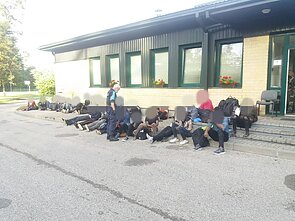 Migrantai Migrantai