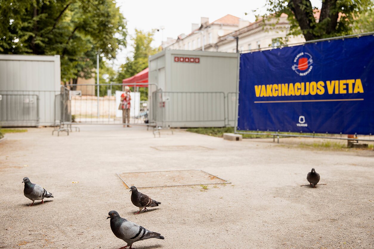 Vakcinacijos centras Lukiškių aikštėje