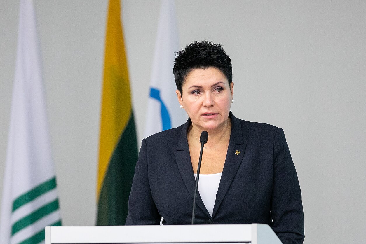 Daina Gudzinevičiūtė Daina Gudzinevičiūtė