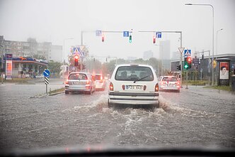 Liūtis Vilniuje. Lietus Liūtis Vilniuje. Lietus