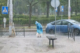 Liūtis Vilniuje Liūtis Vilniuje