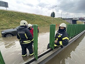 Liūtis Vilniuje Liūtis Vilniuje