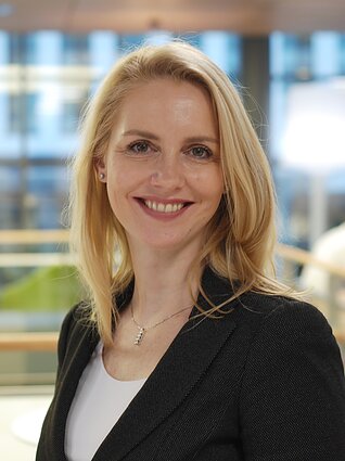 Inga Skisaker 