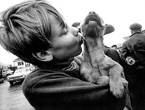 Šiauliai, 1975 Šiauliai, 1975