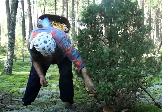 Į Nematerialaus kultūros paveldo vertybių sąvadą įtrauktos 7 regionų tradicijos