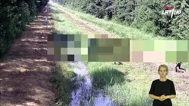 Panorama (su vertimu į gestų k.)