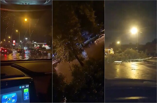 Šeštadienio naktį Klaipėdoje praūžė stipri liūtis: gatvėse virto medžiai, dalis žmonių liko be elektros