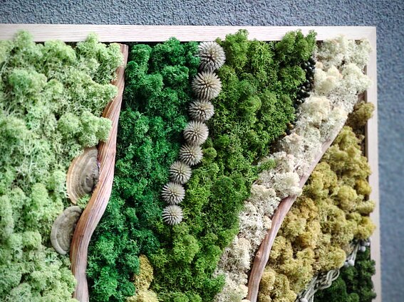 Floristės Rūtos Kazakevičienės darbai Floristės Rūtos Kazakevičienės darbai