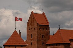 Trakų pilis
