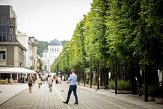 Laisvės alėja