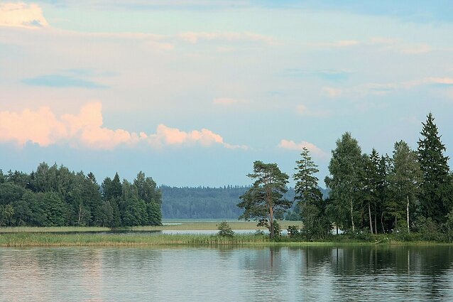 Plateliai – Lietuvos Maldyvai, kuriuose galima mėgautis gardžia cibulyne
