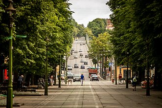 Laisvės alėja Laisvės alėja