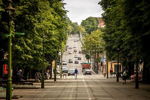 Laisvės alėja Laisvės alėja