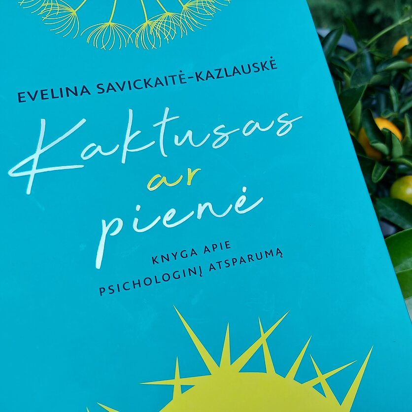 Giedrė Čiužaitė, Knygos viršelis