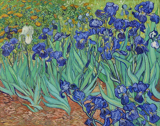 Vincento van Gogho kūrinys „Irisai“, 1889