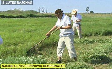 Šienpjovių čempionatas.