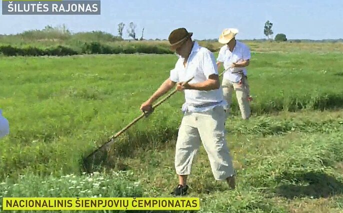 Šienpjovių čempionatas.