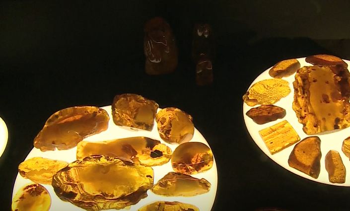 Amber with inclusions at the Amber Museum