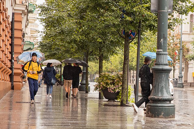 Vasara atsisveikins su lietumi: rugsėjo 1-ąją gali prireikti skėčio, šilumos vis mažiau sulauksime nuo savaitgalio