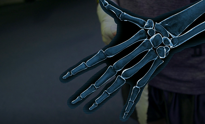 Įdomiosios atostogos. Anatomijos pamoka: įdomūs faktai apie žmogaus kaulus