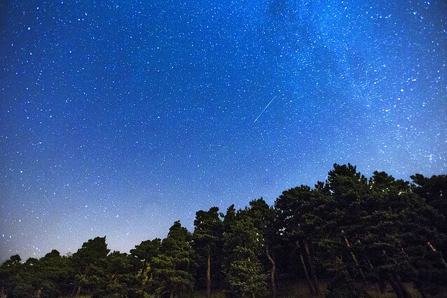 Perseidų lietus