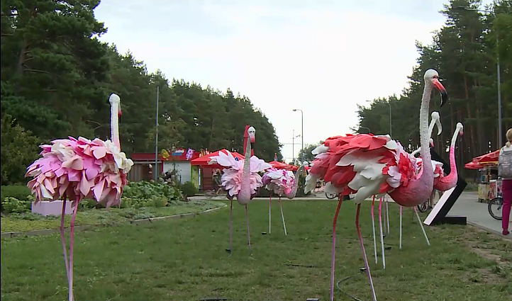 Palangoje prakalbo rožiniai flamingai: tikslas – padėti išpildyti vėžiu sergančių vaikų svajones