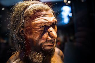 Neandertalietis, asociatyvi nuotr. Neandertalietis, asociatyvi nuotr.