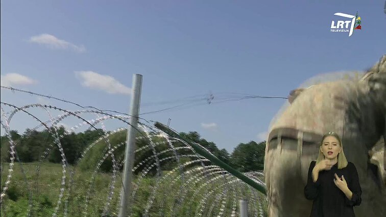 Žinios. Sportas. Orai (su vertimu į gestų k.)