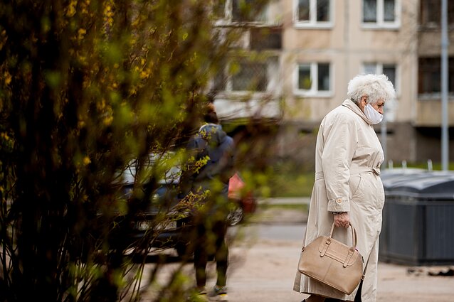 Senjorė Senjorė