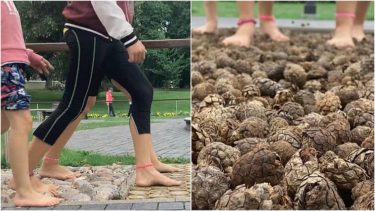 Nemokama pramoga po atviru dangumi Birštone: išbandykite holistiniais sveikatos principais įkurtą Kneipo sodą