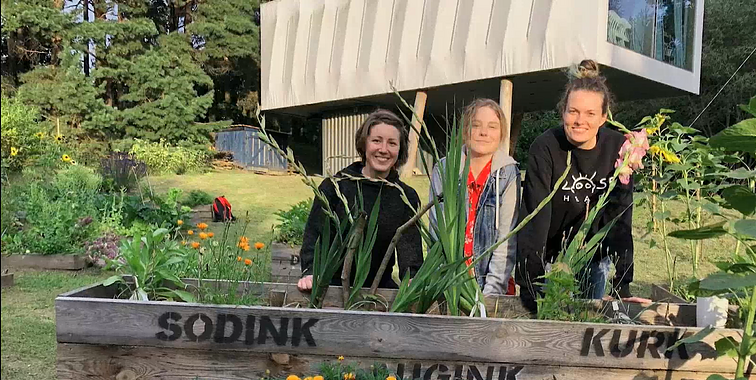 Auga susidomėjimas miesto daržininkyste: padeda sulėtinti greitą miesto tempą ir kurti naują ryšį su gamta