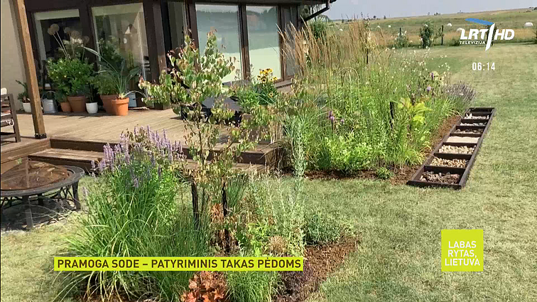 Patyriminis takas prie namų