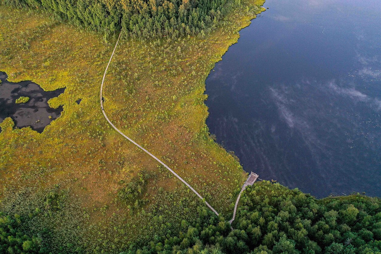 Draustinis. Asociatyvi