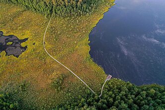 Draustinis. Asociatyvi