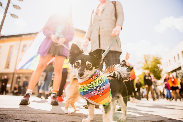 Марш «Kaunas Pride» Марш «Kaunas Pride»
